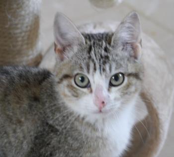 Bild von Sakima