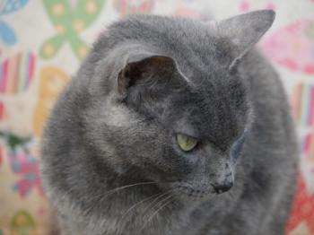 Emmi Bild von Emmi