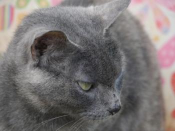 Emmi Bild von Emmi