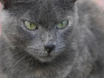 Emmi Bild von Emmi