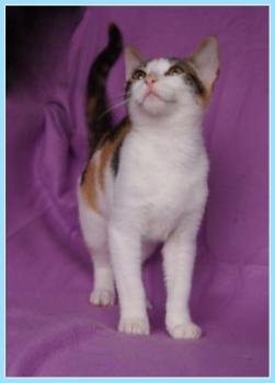 Babette Bild von Babette
