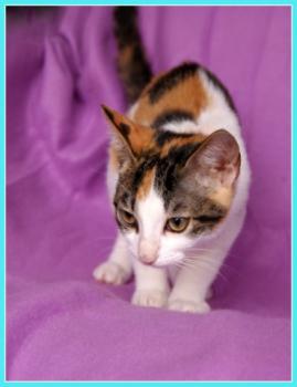 Babette Bild von Babette