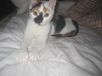 Nena Bild von Nena