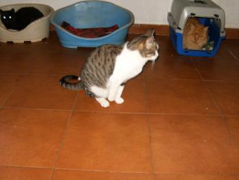 Charla Bild von Charla