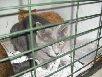 Ohne Bild von Pepper
