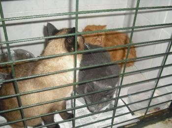 Ohne Bild von Pepper