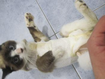 Lucky Achtung! Bild von Lucky Achtung!