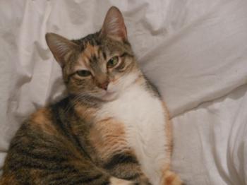 Anabel Bild von Anabel
