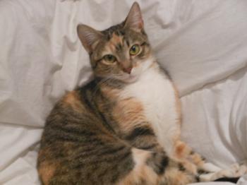 Anabel Bild von Anabel