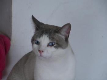 Lulo Miki Bild von Lulo