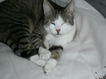 Mahoney Bild von Mahoney