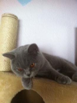 Mia´s Helmi Bild von Mia´s Helmi