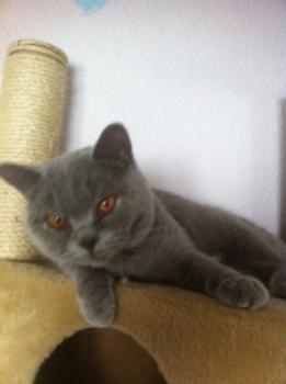 Mia´s Helmi Bild von Mia´s Helmi