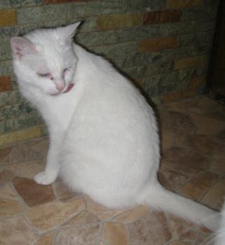 Ayda Bild von Ayda