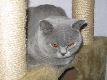 Mia´s Helmi Bild von Mia´s Helmi