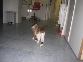 Lucky Achtung! Bild von Lucky Achtung!