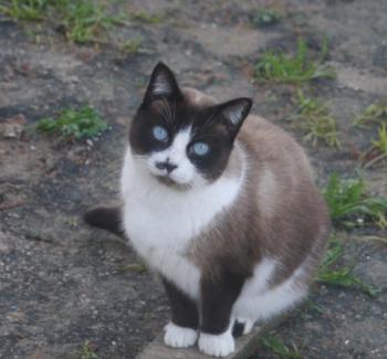 Püppi Bild von Püppi