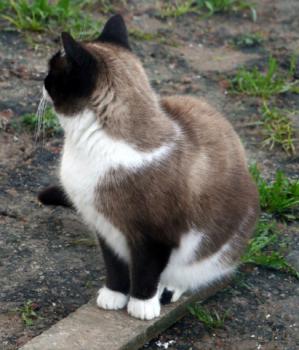 Püppi Bild von Püppi