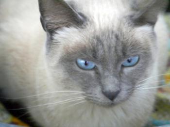 Lilly Bild von Lilly
