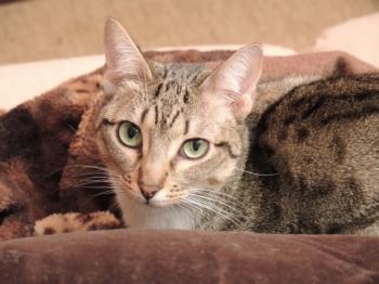 Bild von Lisa