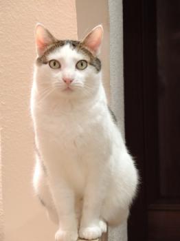 Ricardo Bild von Ricardo
