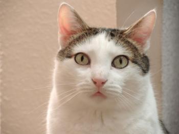 Ricardo Bild von Ricardo