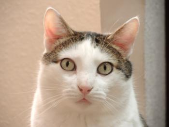 Ricardo Bild von Ricardo