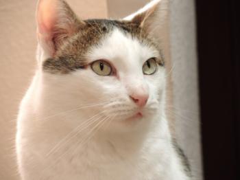 Ricardo Bild von Ricardo