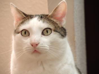 Ricardo Bild von Ricardo