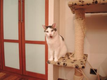 Ricardo Bild von Ricardo