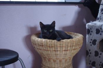 Lilith Bild von Lilith