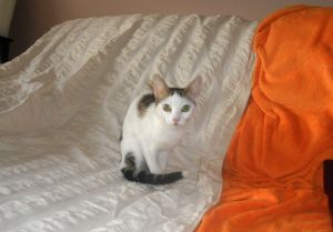 Bild von Davinia