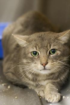 McCloud Bild von McCloud