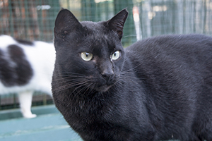 Timothy Bild von Timothy
