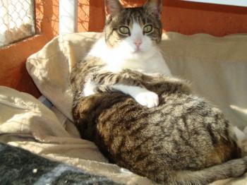Bild von Mico