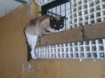 Ohne Namen Bild von Princesita