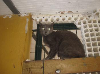 Bild von Romy
