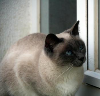 Lilly Bild von Lilly