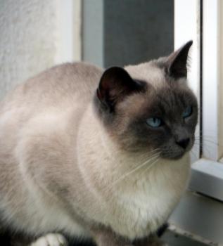 Lilly Bild von Lilly
