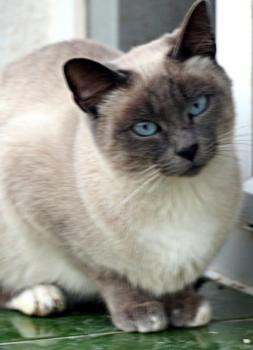 Lilly Bild von Lilly
