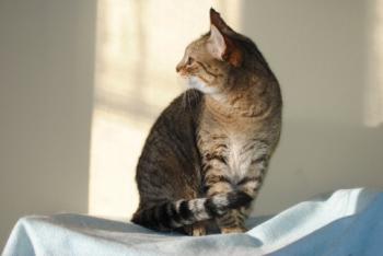 Migoya Bild von Migoya