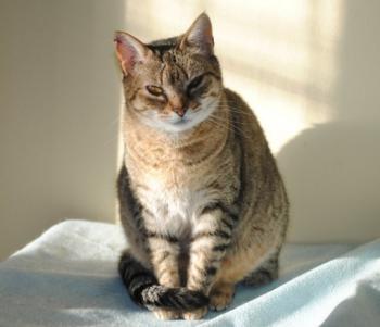 Migoya Bild von Migoya