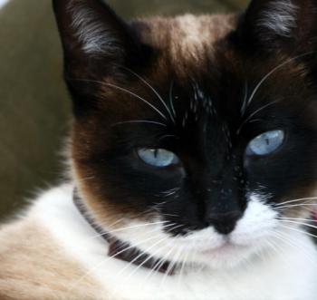 Ohne Namen 5528 Bild von Princesita