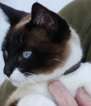 Ohne Namen 5528 Bild von Princesita