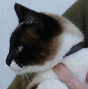 Ohne Namen 5528 Bild von Princesita