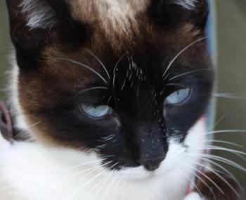 Ohne Namen 5528 Bild von Princesita