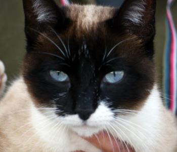 Ohne Namen 5528 Bild von Princesita