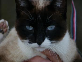 Ohne Namen 5528 Bild von Princesita