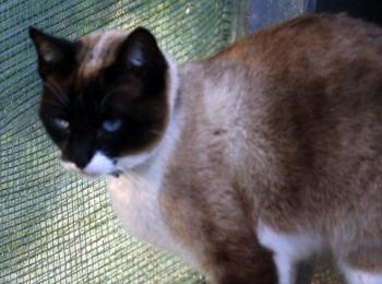 Ohne Namen 5528 Bild von Princesita