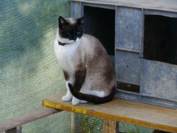 Ohne Namen 5528 Bild von Princesita